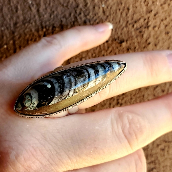 New Unique Orthoceras Fossil 925 Silver Statement Ring. - Picture 5 of 10